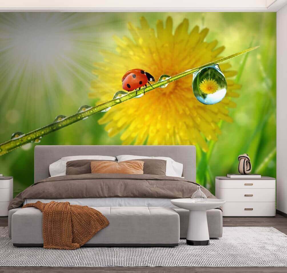 Ladybug on a blade of grass with water drops