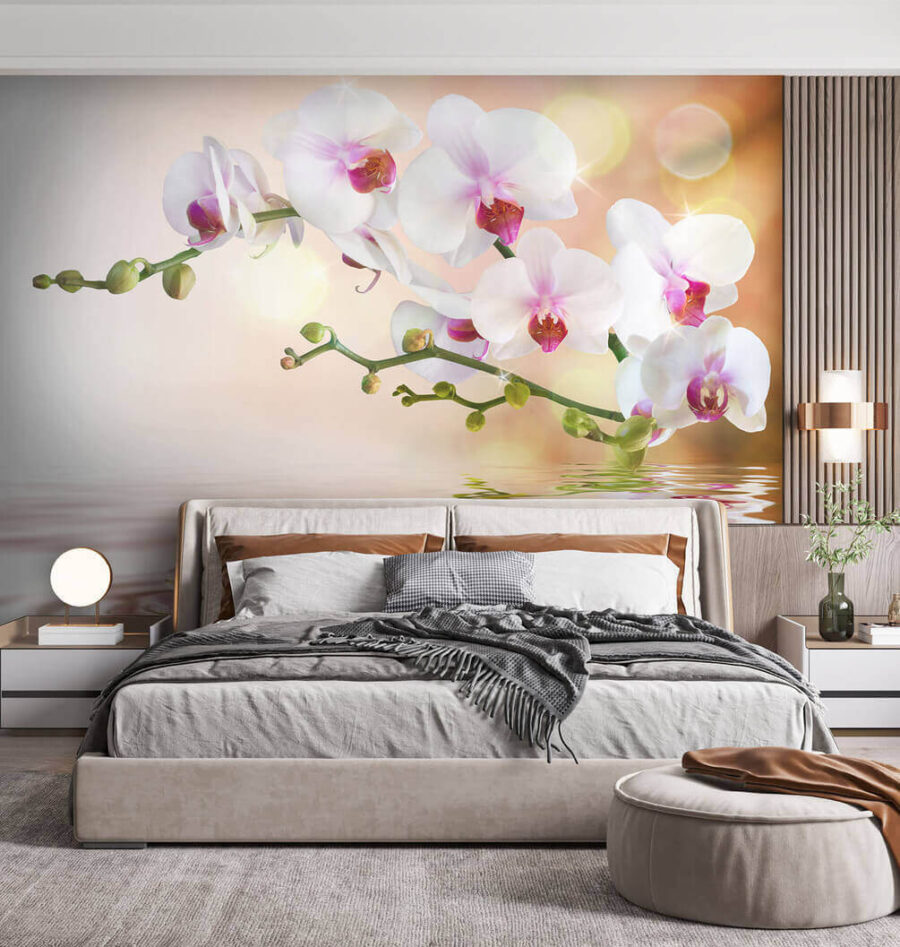 Fehér orchideák egy ágon, vízfodrokkal