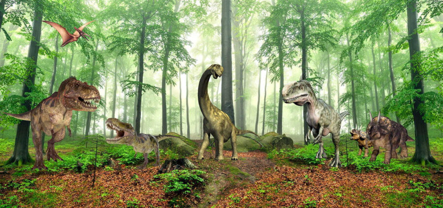 Dinoszauruszok csoportja az erdőben