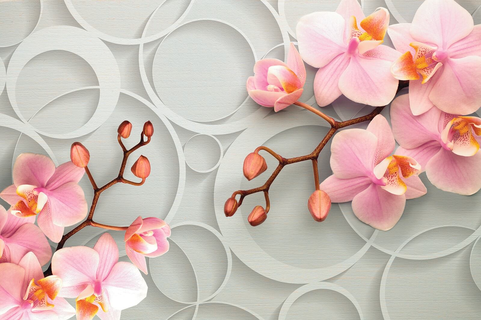 u66595p - Finom virágok lágy háttéren - tegory