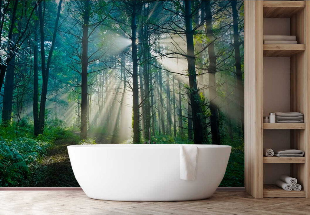 Nap ragyog a fák között egy erdőben u70959pit1 1024x709 - Nap ragyog a fák között egy erdőben - tegory