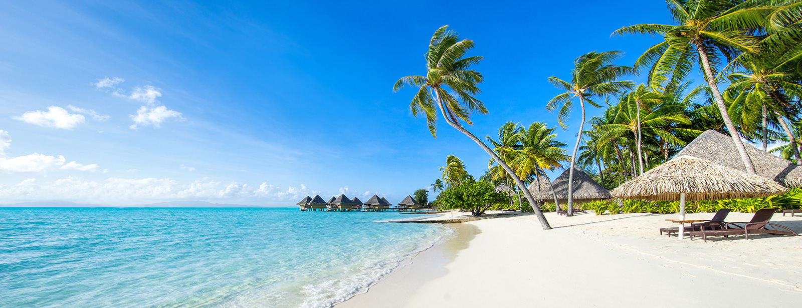 Beach with palm trees and huts Beach with palm trees and huts