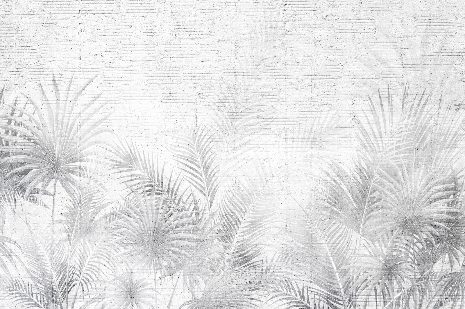 White and grey background with palm leaves White and grey background with palm leaves