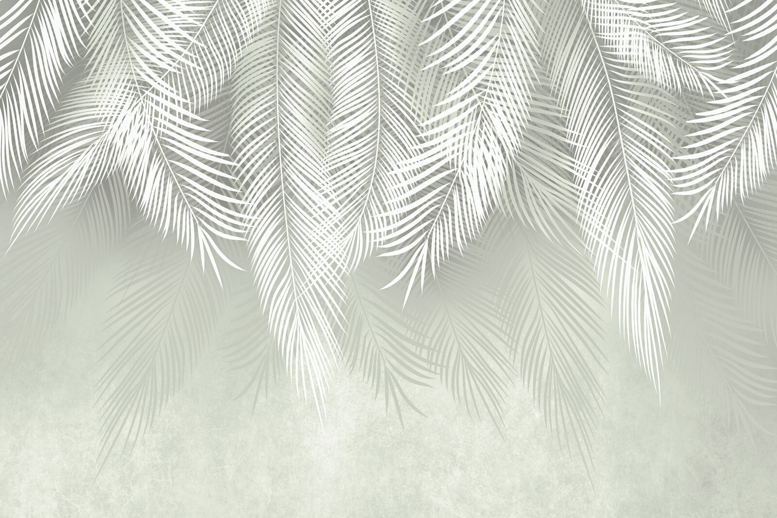 White leaves on a gray background White leaves on a gray background