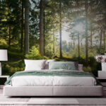 Fotótapéta Nap ragyog a fákon keresztül