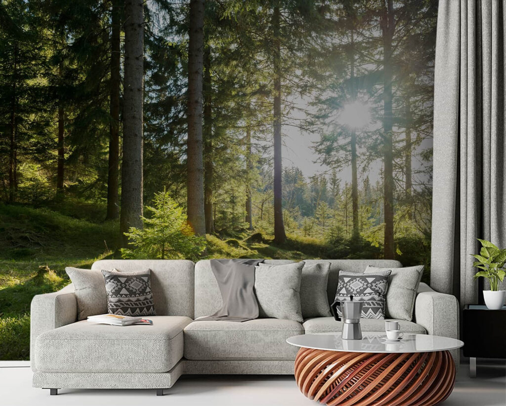 Sun shining through trees Sun shining through trees