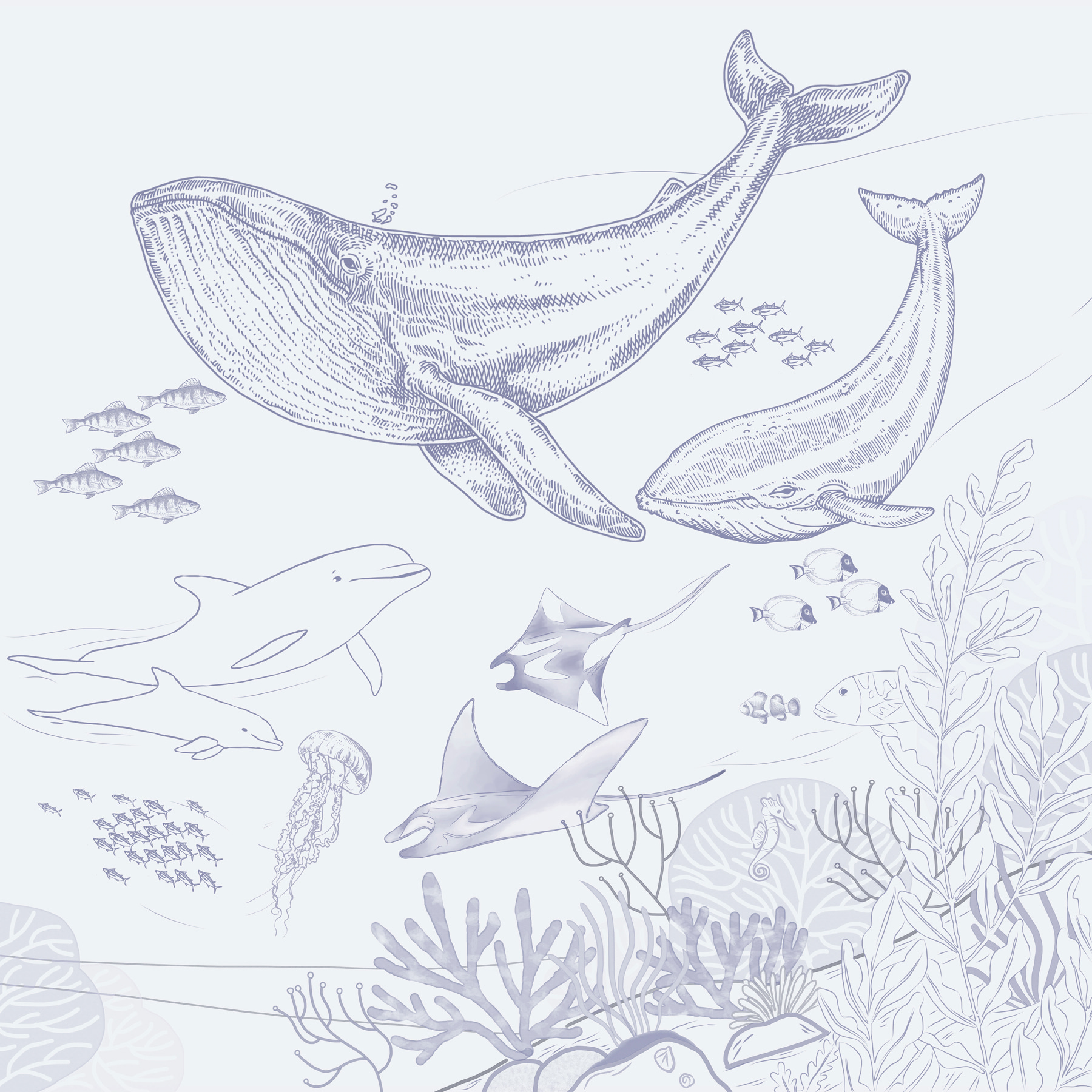 A drawing of a whale and a whale