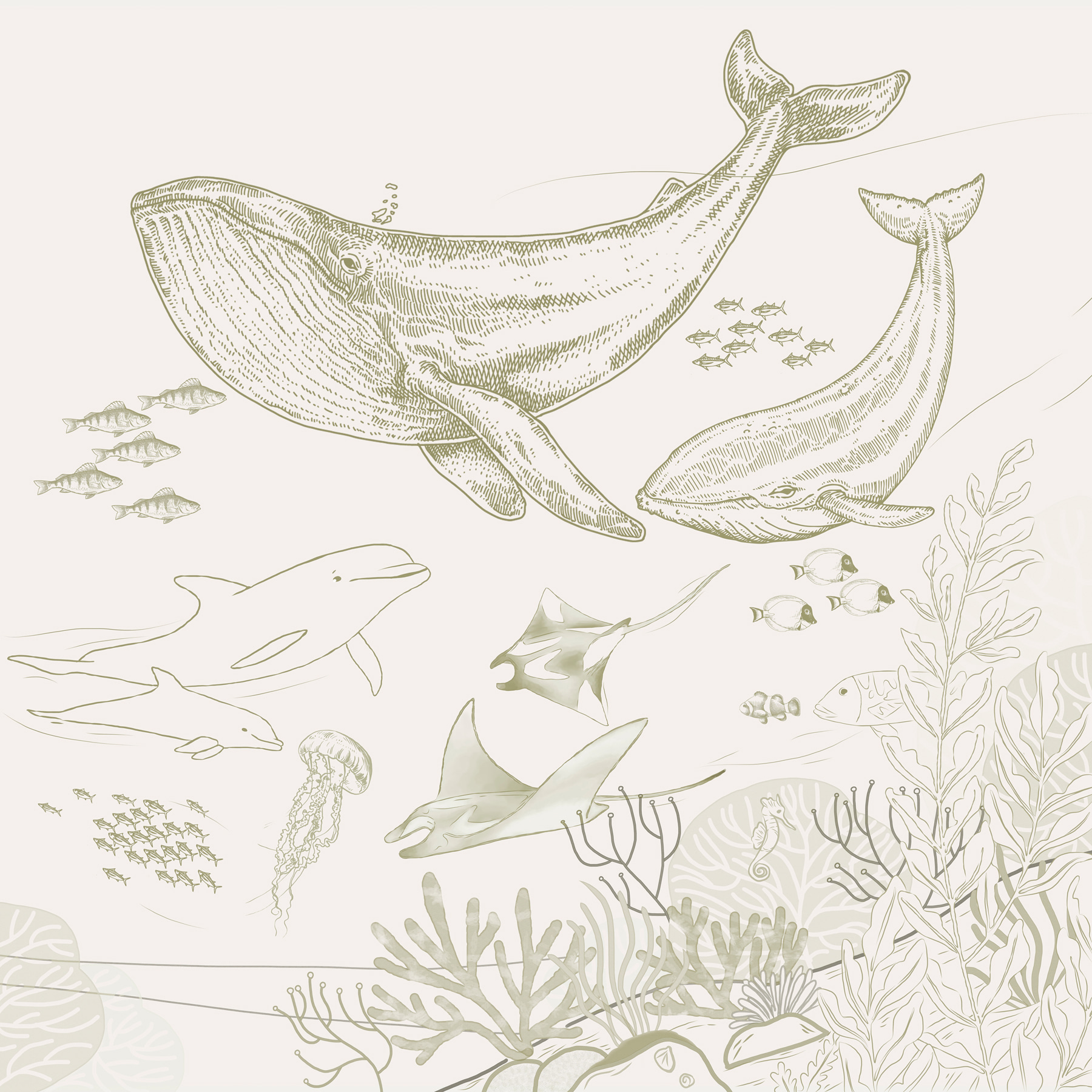 A drawing of a whale and a whale A drawing of a whale and a whale