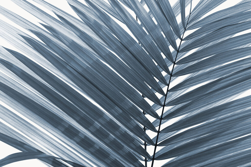 Elegant leaves in soft monochrome tones