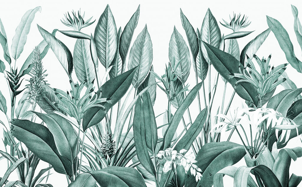 Tropical foliage in harmonious greens