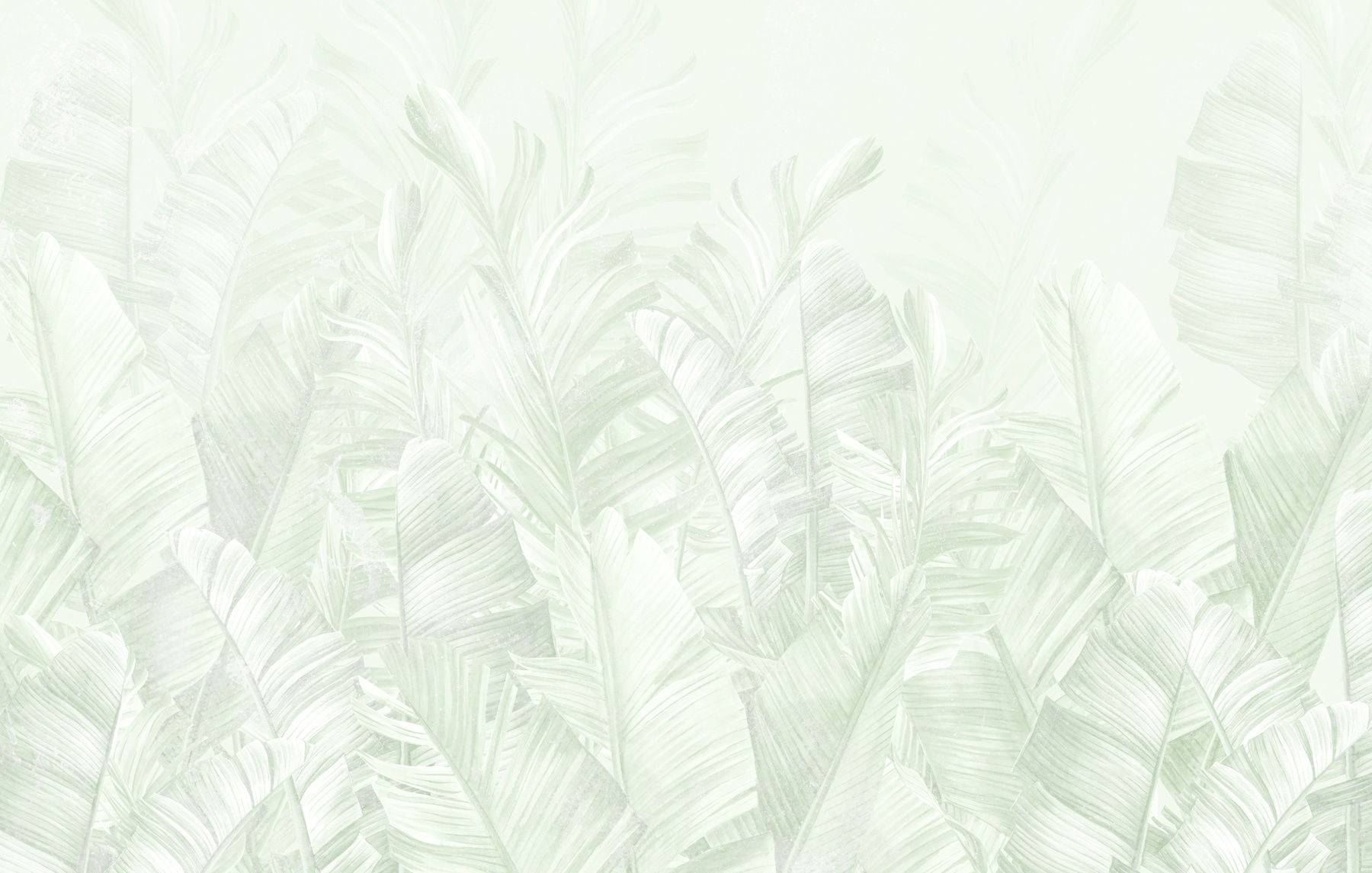 Soft green leaves in gentle layers