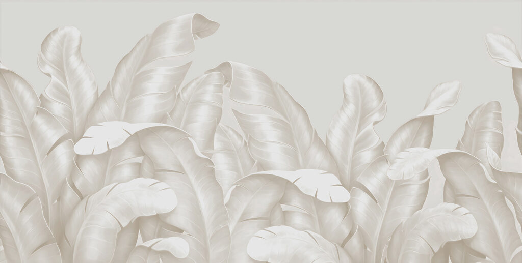 A close up of leaves