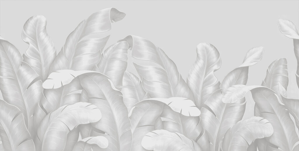 A group of white leaves