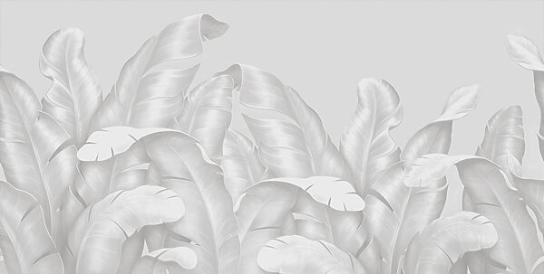 A group of white leaves