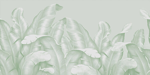 A close up of leaves
