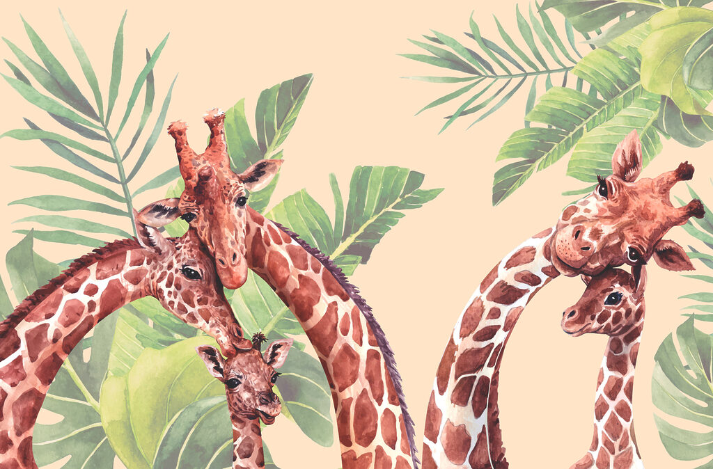 A group of giraffes with long necks A group of giraffes with long necks