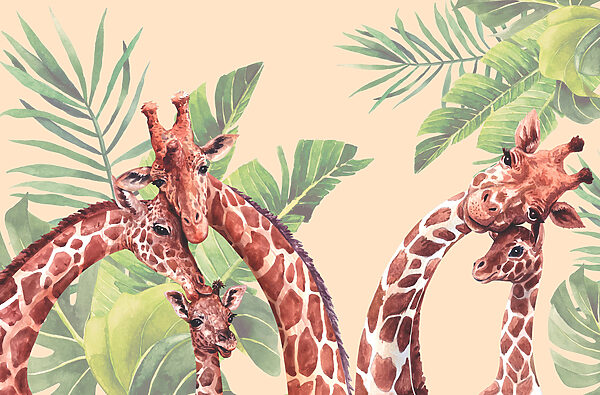 A group of giraffes with long necks A group of giraffes with long necks