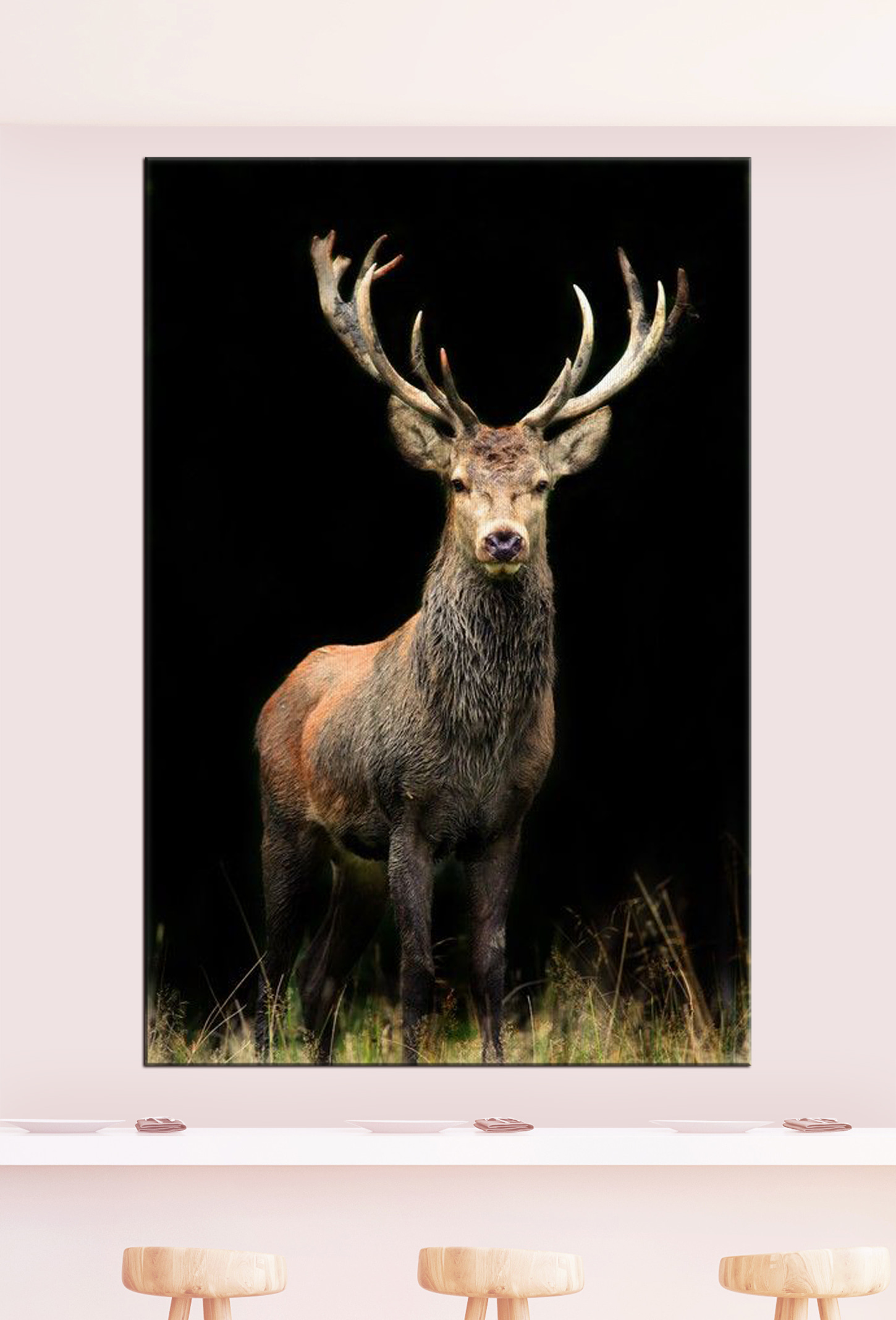 A deer with antlers standing in the dark A deer with antlers standing in the dark