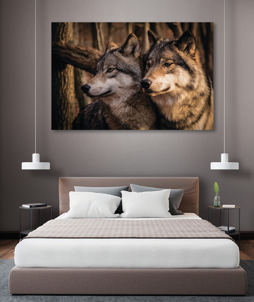 A couple of wolves in the woods