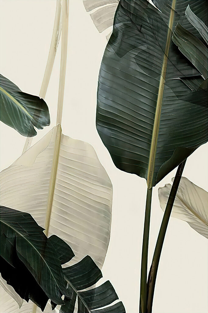 A close up of leaves