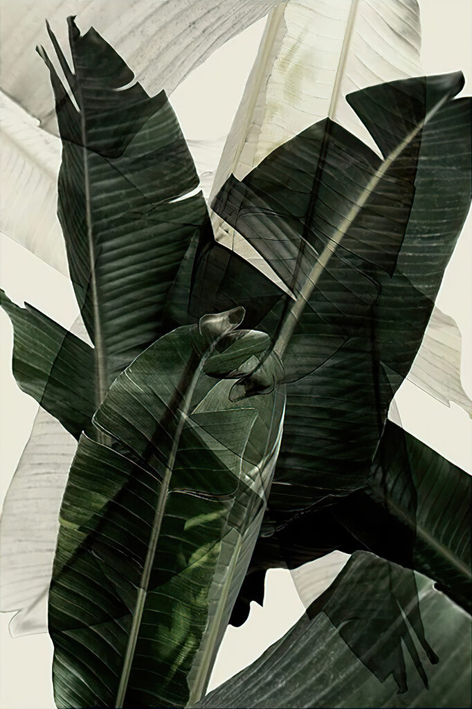 A close up of a plant A close up of a plant