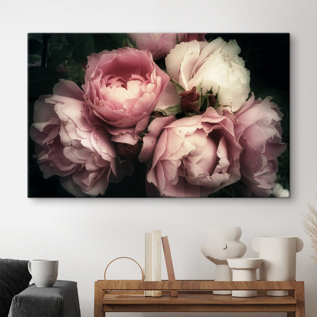 A group of pink and white roses A group of pink and white roses