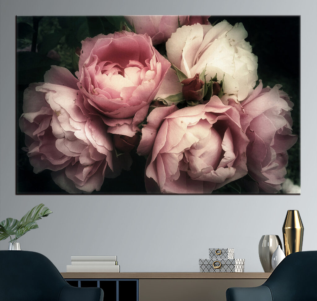 A group of pink and white roses A group of pink and white roses