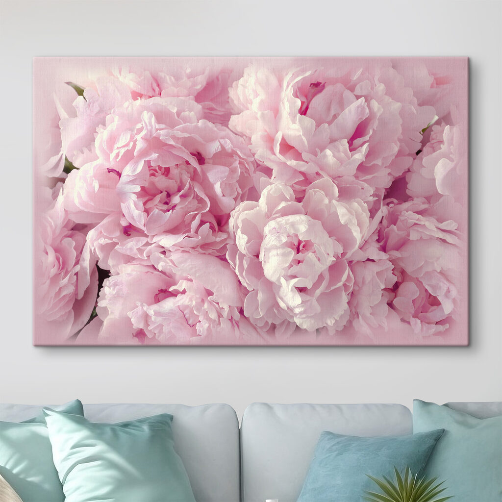 A group of pink flowers