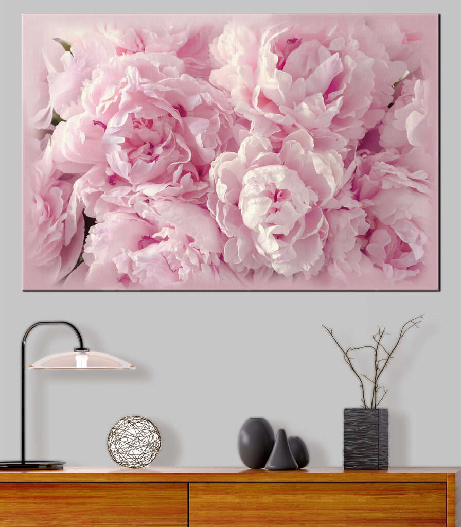 A group of pink flowers