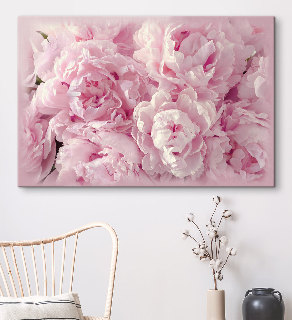 A group of pink flowers