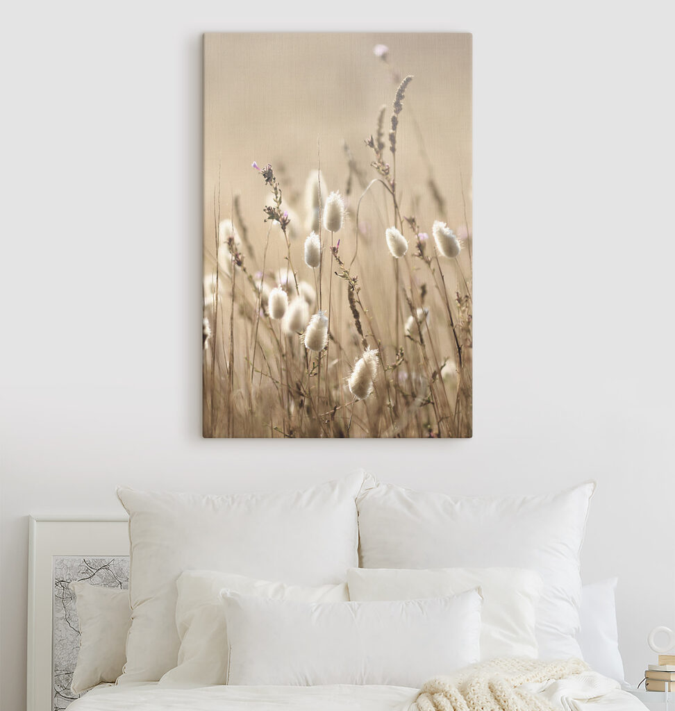 A close up of a plant