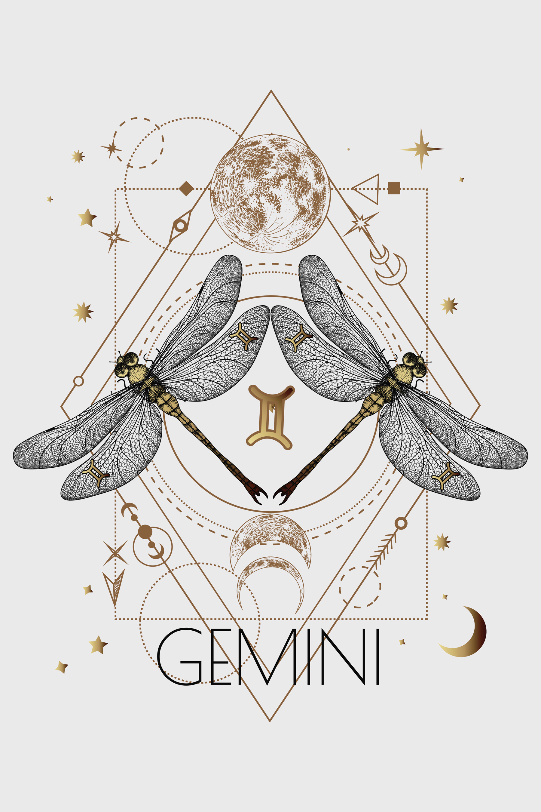 A dragonfly with a moon and stars A dragonfly with a moon and stars