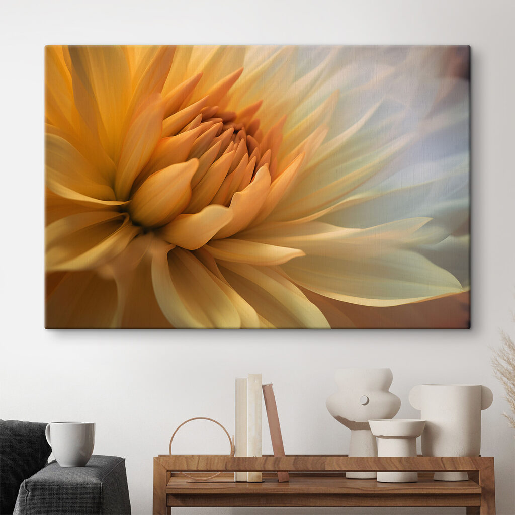 A close up of a flower