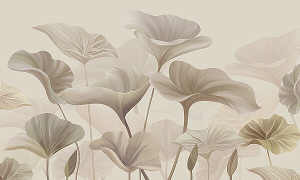 Közelkép virágokról Közelkép virágokról