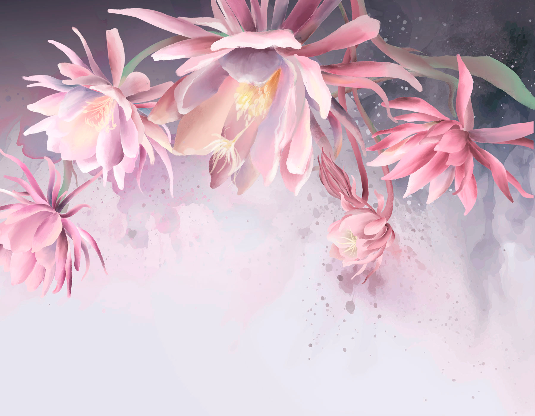 A group of pink flowers A group of pink flowers