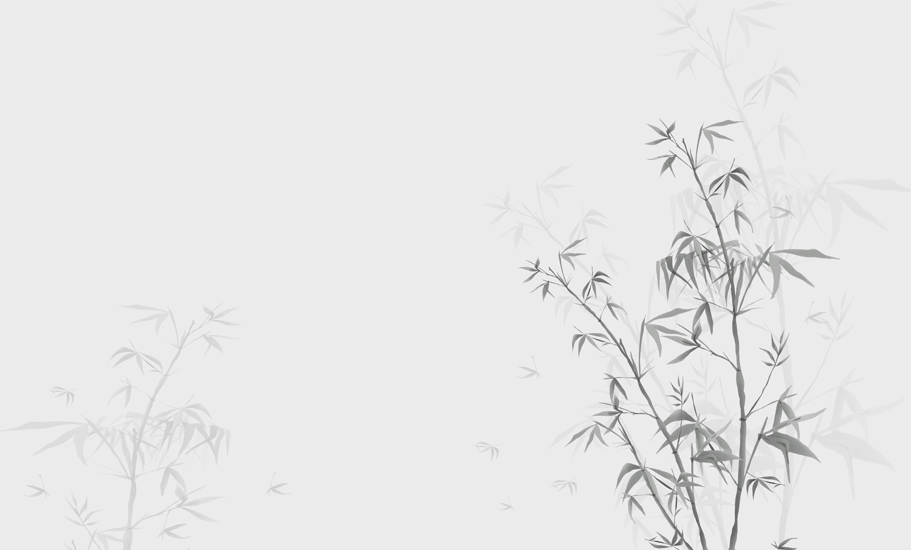 w00546v1p - Egy növény, amelyen levelek vannak - tegory