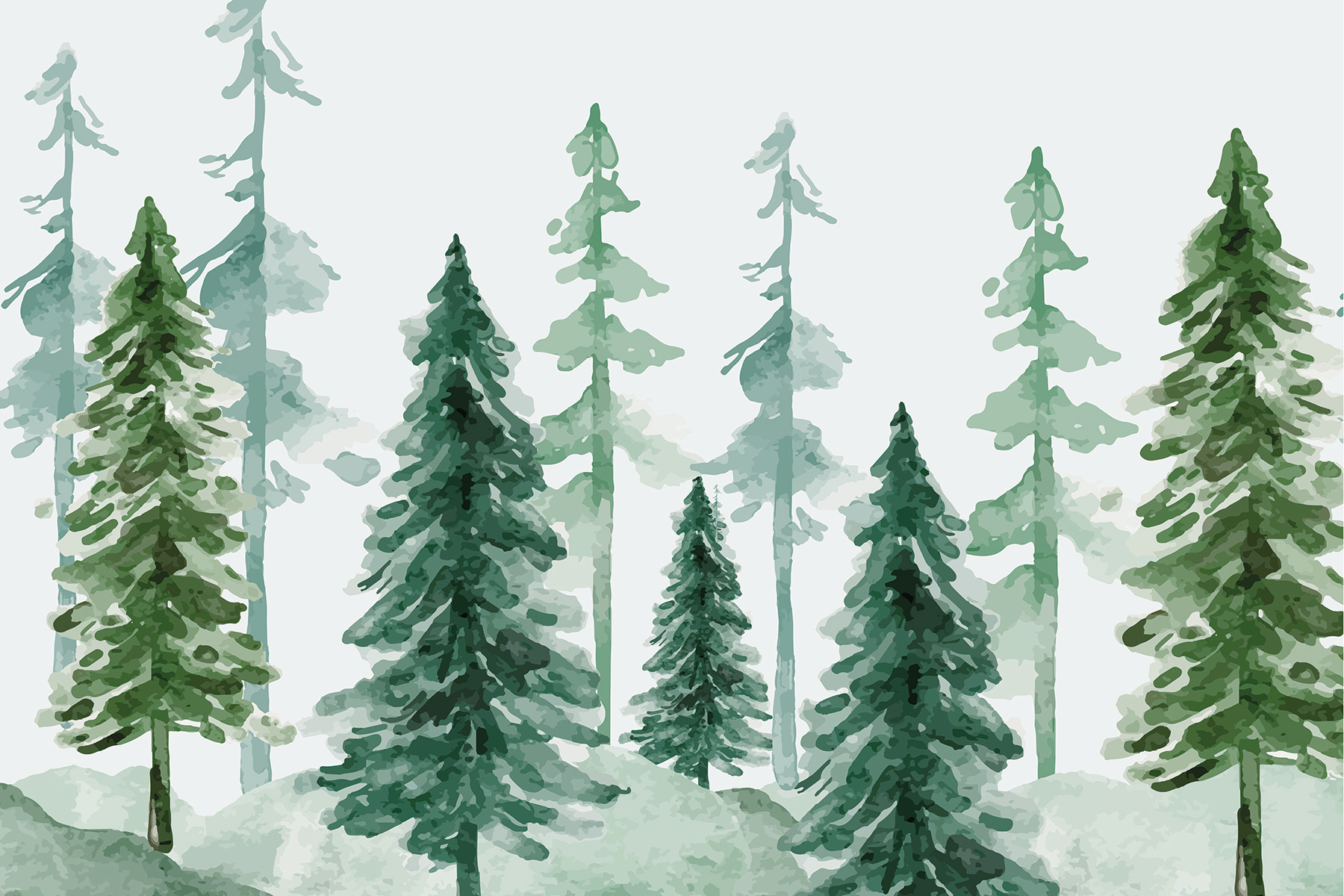 A group of trees in a snowy forest