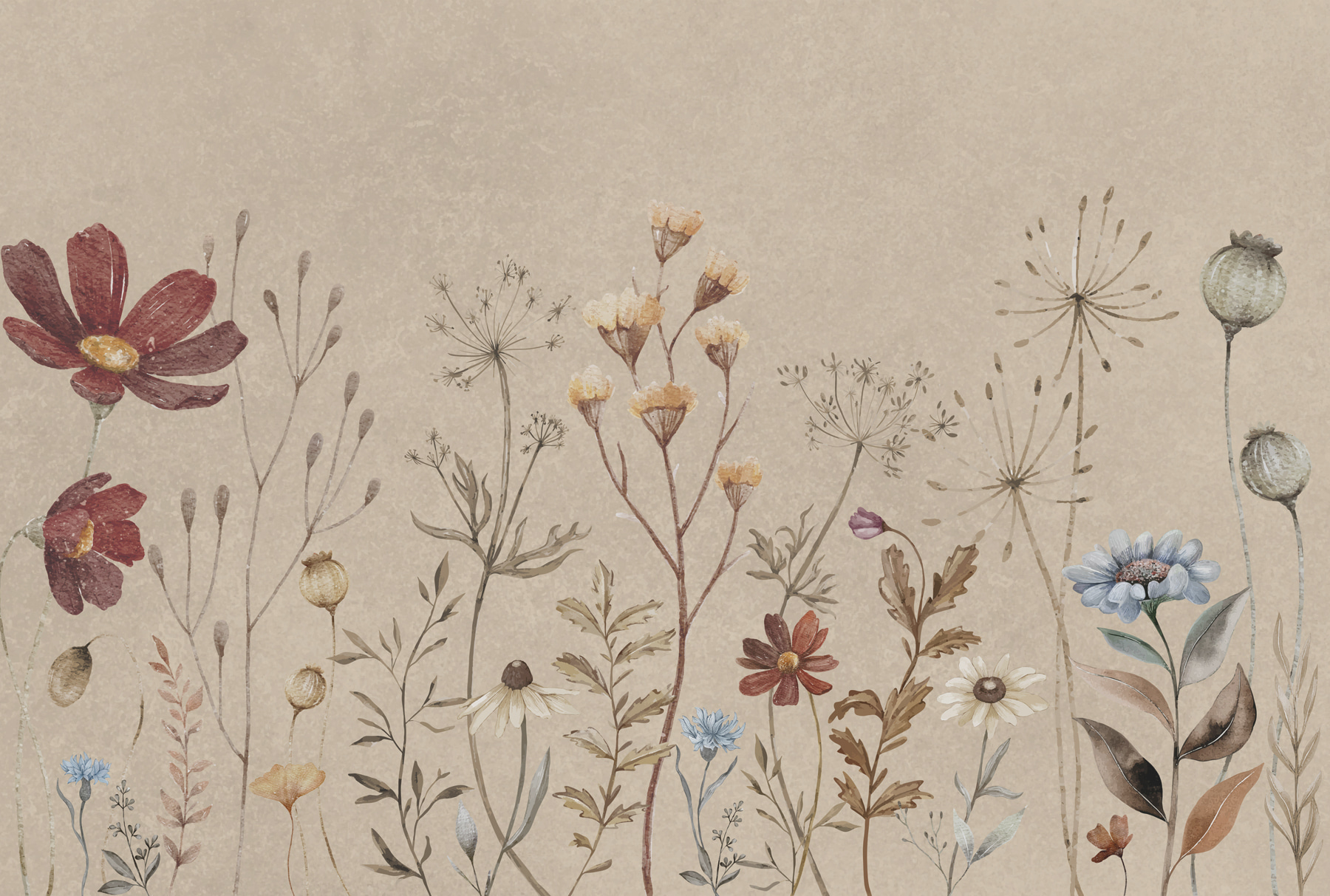 w00580p - Közelkép virágokról - tegory