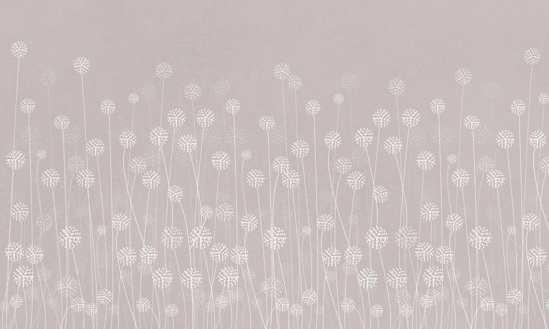 w00613v2p - Fehér virágok szürke háttéren - tegory