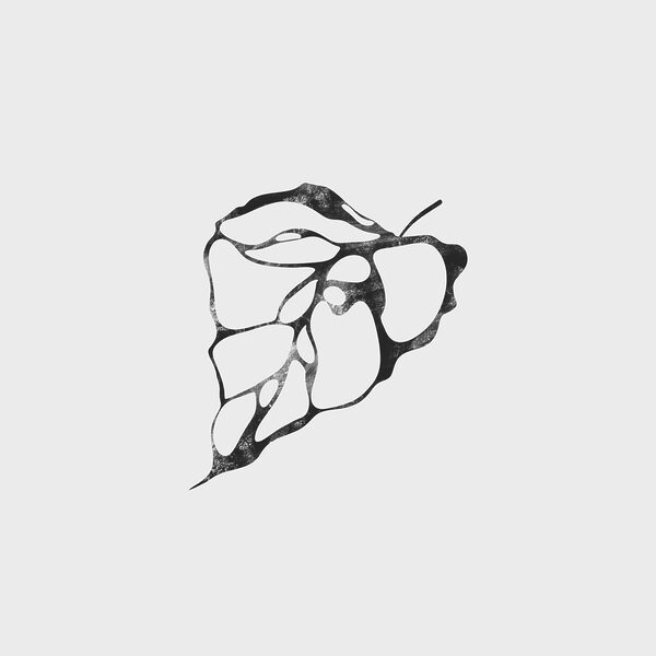 A black and white image of a leaf A black and white image of a leaf