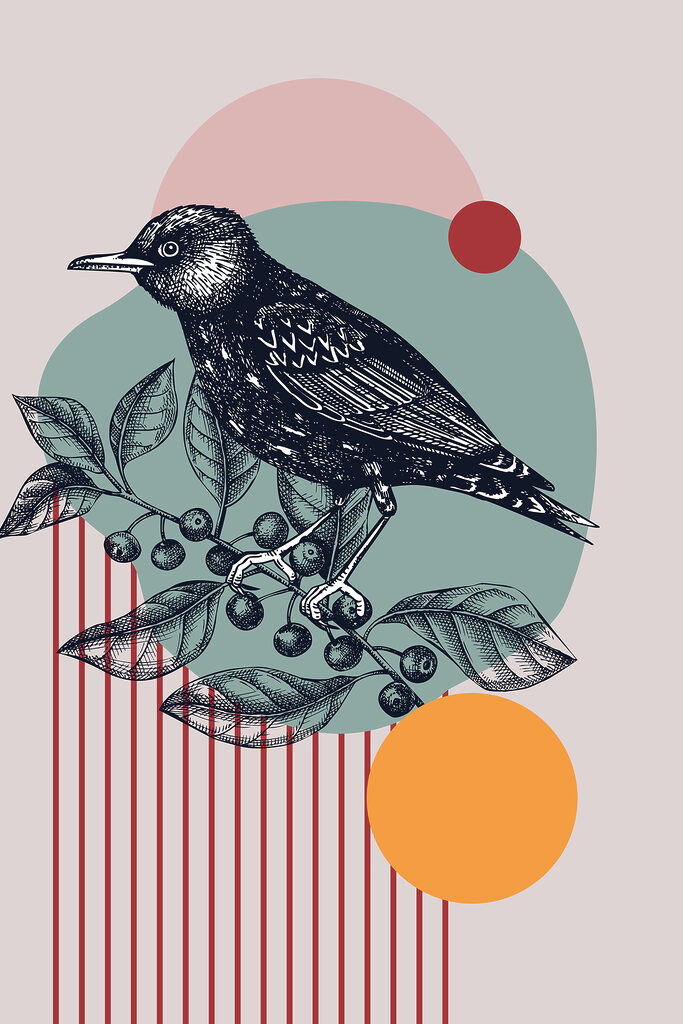 A bird on a branch A bird on a branch