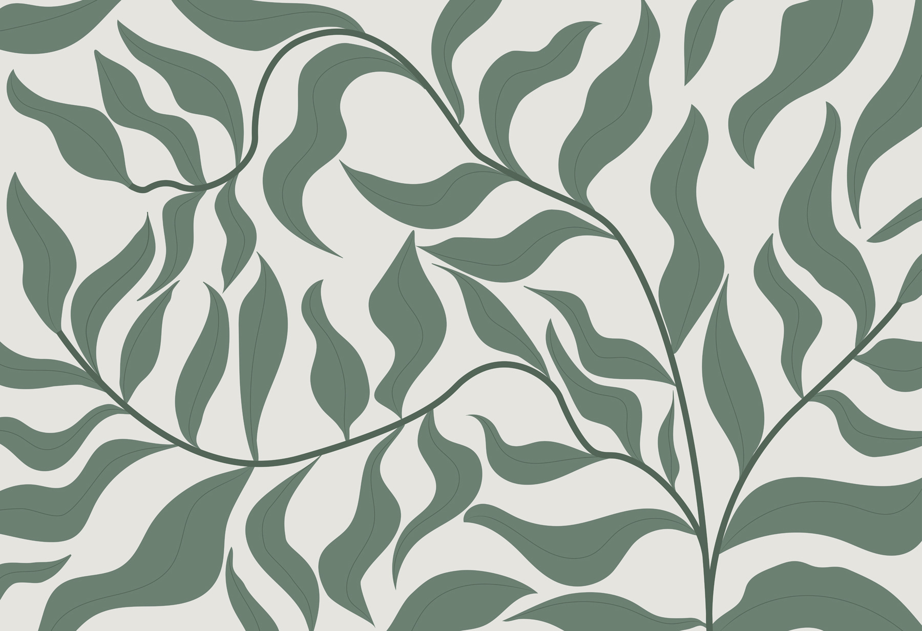 Zöld levelek fehér háttéren w00629p - Zöld levelek fehér háttéren - tegory