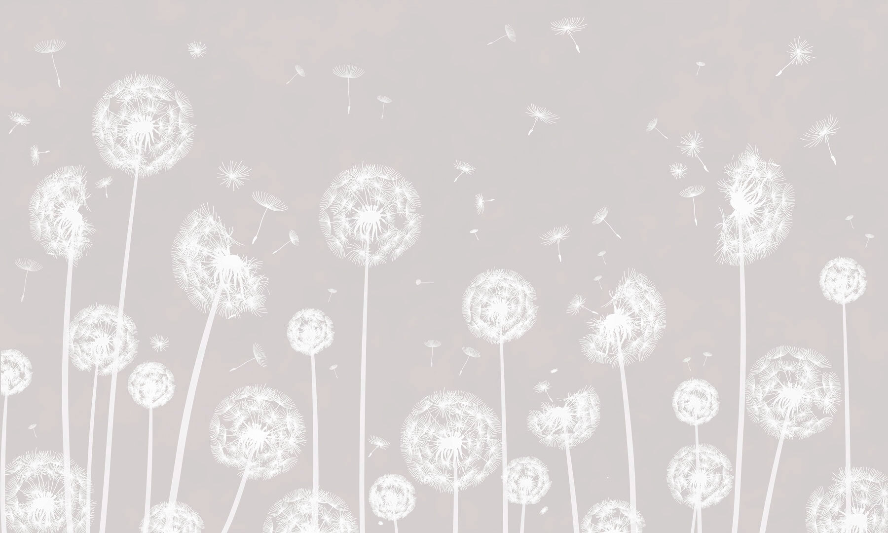 w00657p - Egy fehér pitypang repül a levegőben - tegory