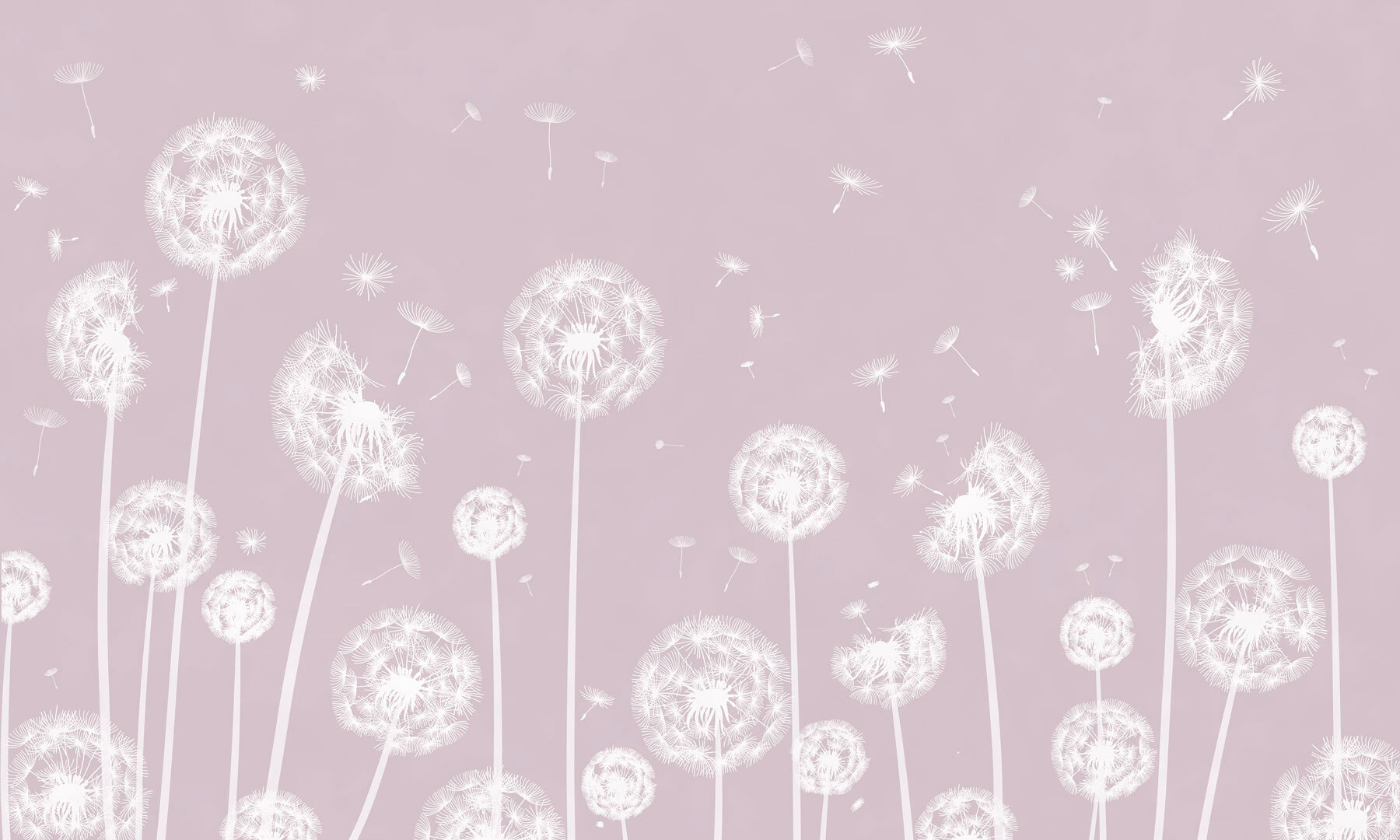 w00657v1p - Egy fehér pitypang repül a levegőben - tegory