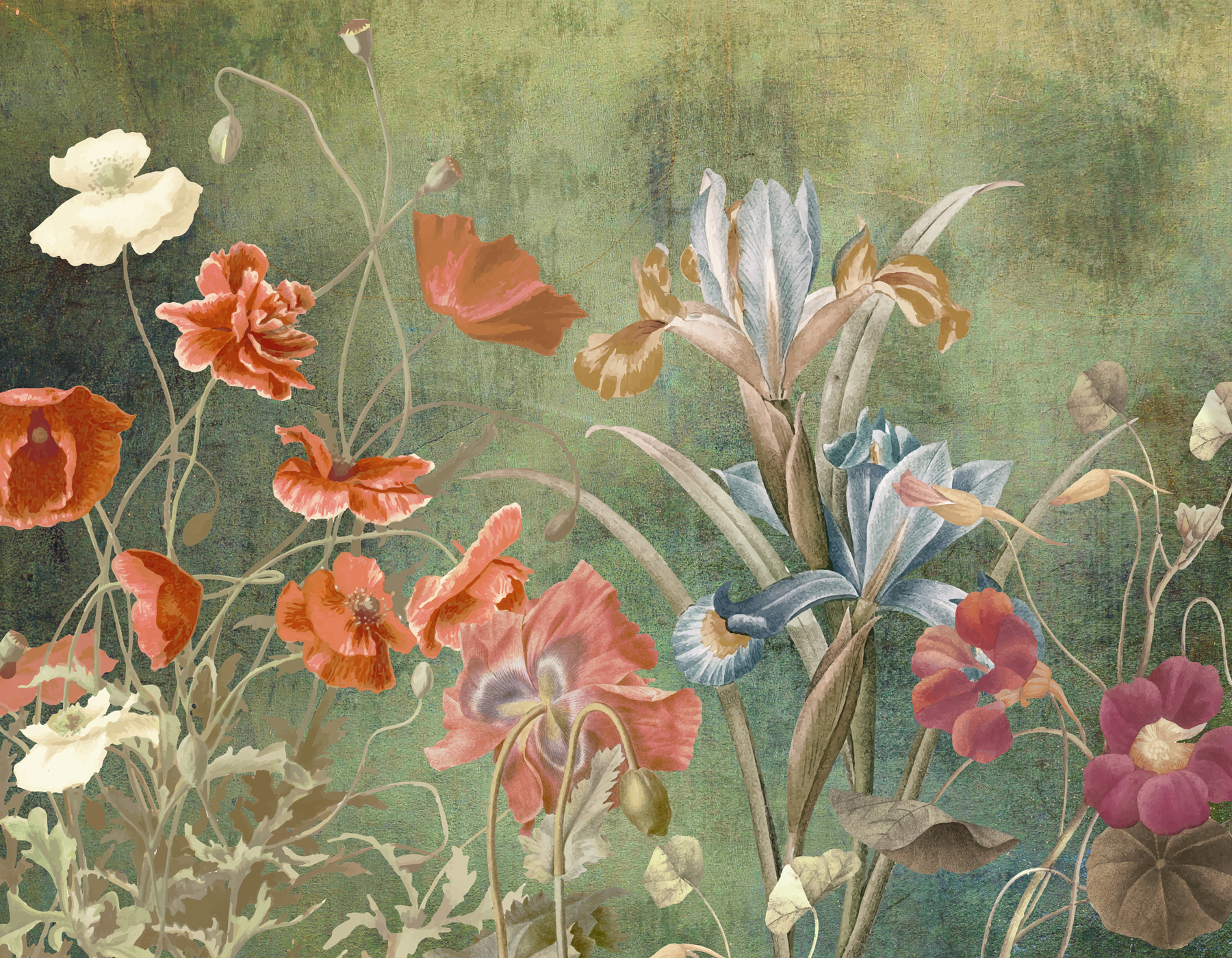 w00698p - Közelkép virágokról - tegory