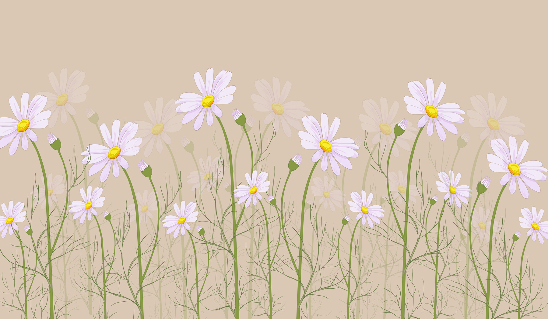A group of flowers on stems