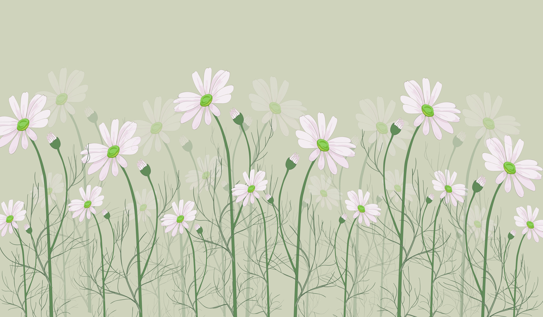 A group of white flowers
