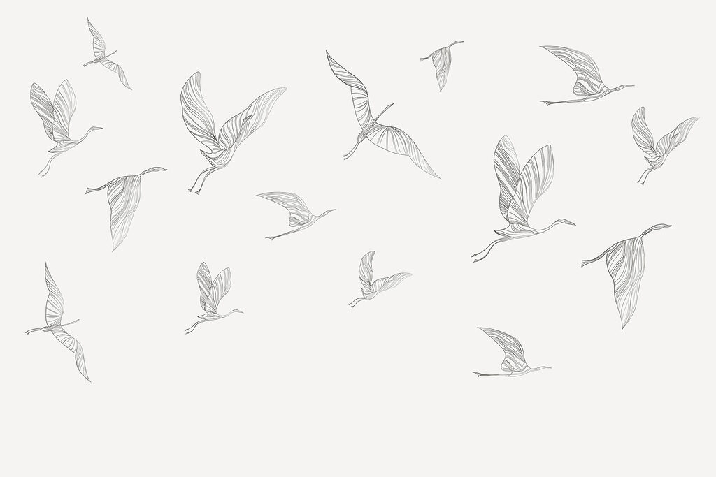 A group of birds flying