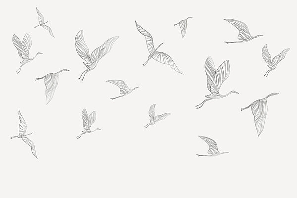 A group of birds flying