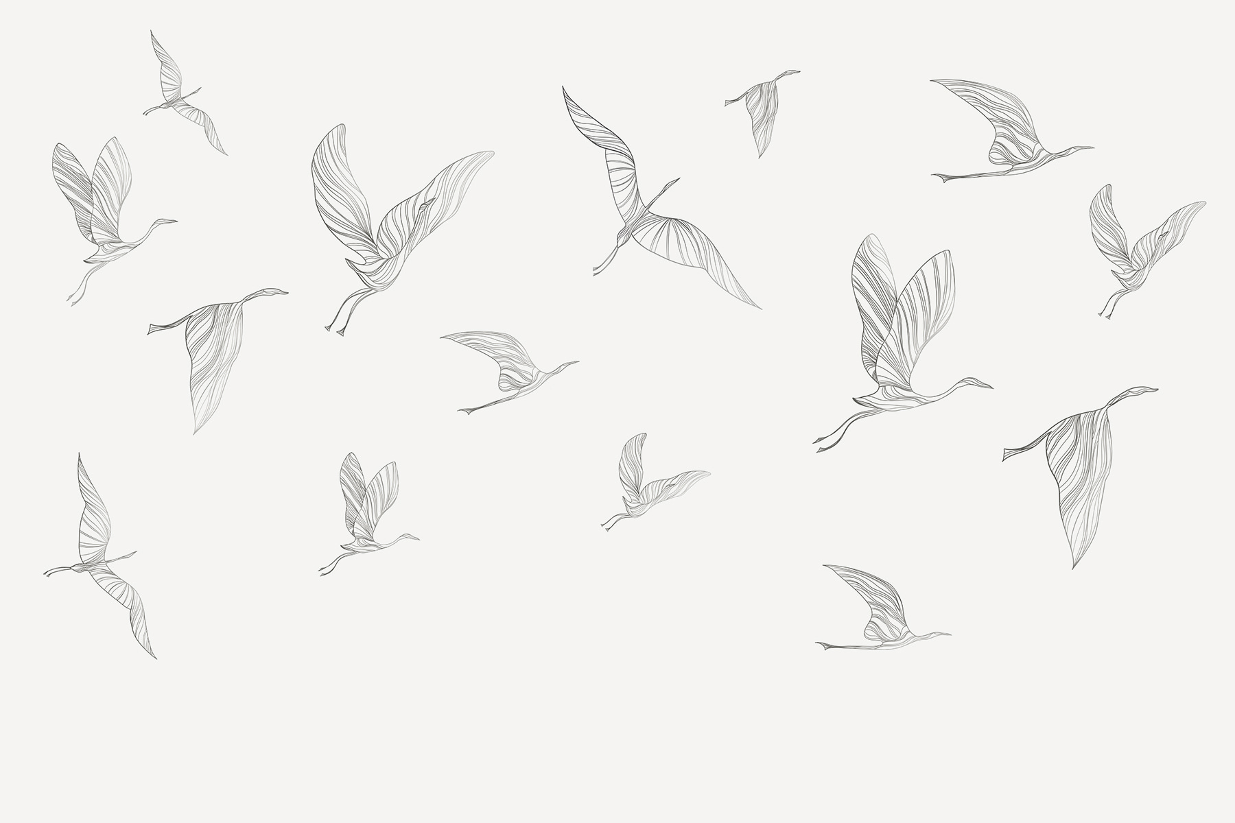 A group of birds flying